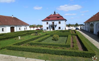 Kácení a částečná rekonstrukce zámecké zahrady