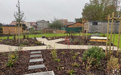 Kompletní realizace zahrady