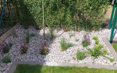 Realizace zahrádky na Lánech